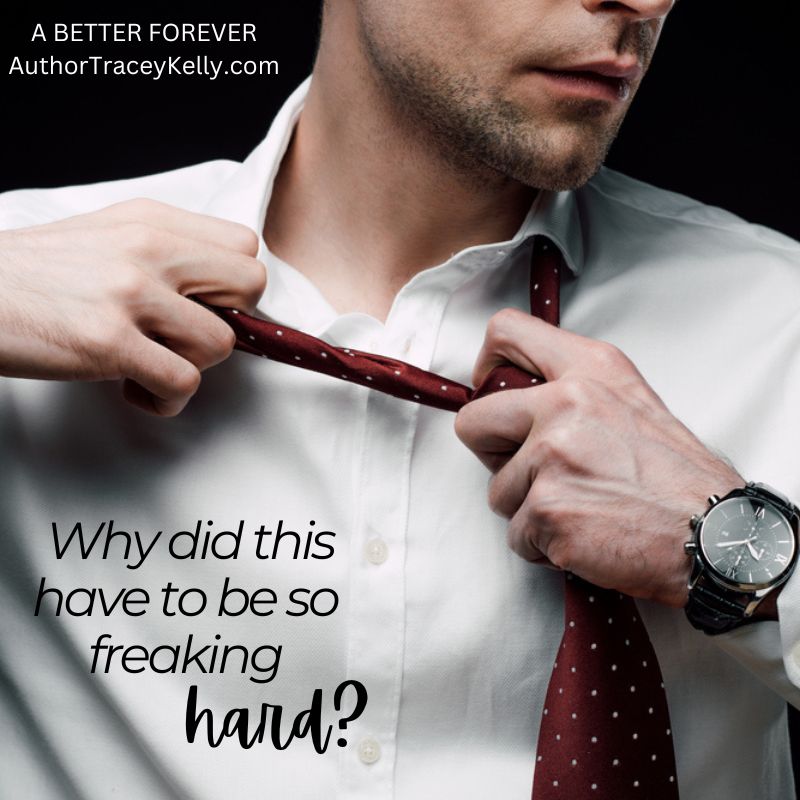 A Better Forever: a Marriage in Crisis Romance